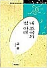 내 조국의 별 아래 - 한국대표시인 100인 선집 58-고은시선 (알시8코너) 