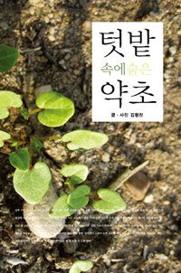 텃밭 속에 숨은 약초 (알생6코너)