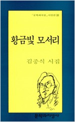 황금빛 모서리 - 김중식 시집 (알시10코너)