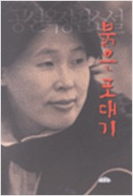 붉은 포대기 - 공선옥 장편소설 (알소2코너)