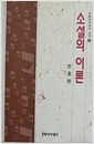 소설의 이론 - 문학아카데미 신서 1 (알인65코너)