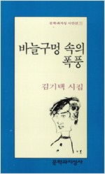 바늘구멍 속의 폭풍 - 문학과지성 시인선 151 (알문1코너)