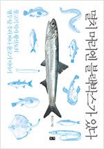 멸치 머리엔 블랙박스가 있다 - 물고기 박사 황선도의 열두 달 우리 바다 물고기 이야기 (알오37코너)