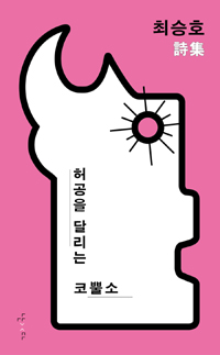 허공을 달리는 코뿔소(초판) (시20코너)