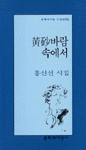 황사(黃砂)바람 속에서 - 홍신선 시집 (알코너) 