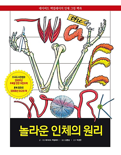 놀라운 인체의 원리 (코너) 