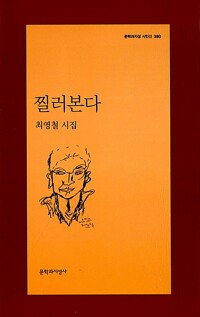 찔러본다 - 제10회 최계락문학상 수상작 - 문학과지성 시인선 380 - 초판 (알시15코너) 