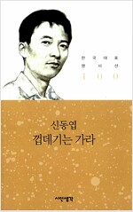 껍데기는 가라 - 시인생각 한국대표 명시선 100 (알시23코너)  